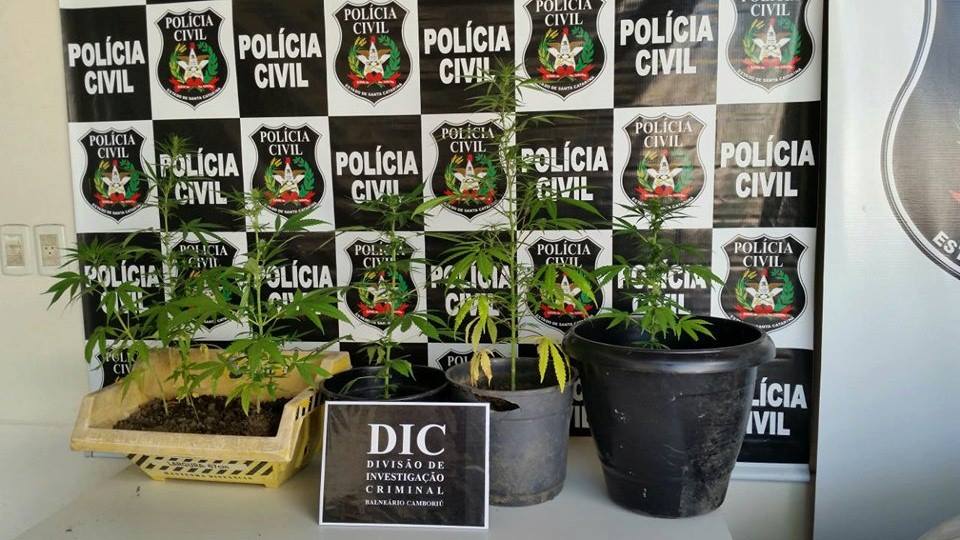 Polícia Civil - Balneário Camboriú