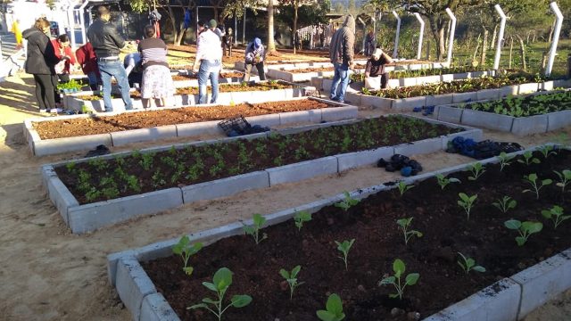 horta comunitaria