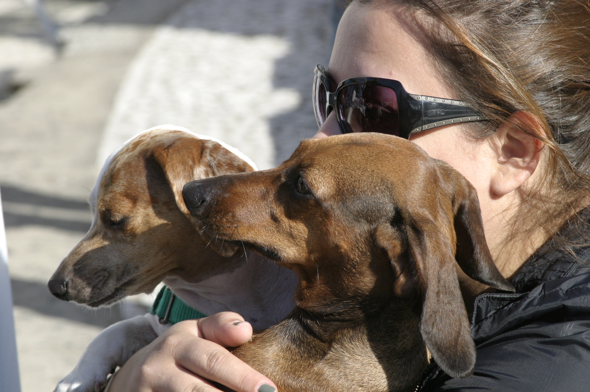 Foto: Escola de Cães-Guias Helen Keller / Divulgação
