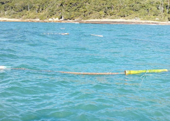 Fotos: SEMAM/Divulgação