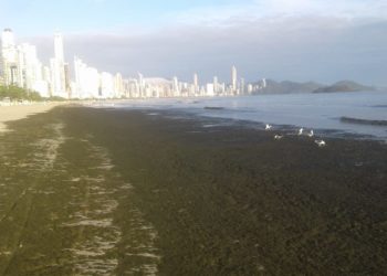 Foto: Secretaria de Meio Ambiente