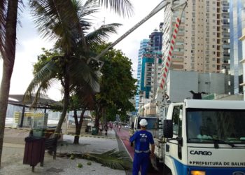 Fotos: Secretaria de Obras