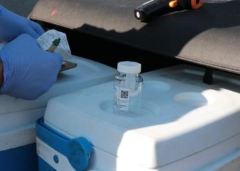 Foto: Milena Linhares e arquivo PMBC