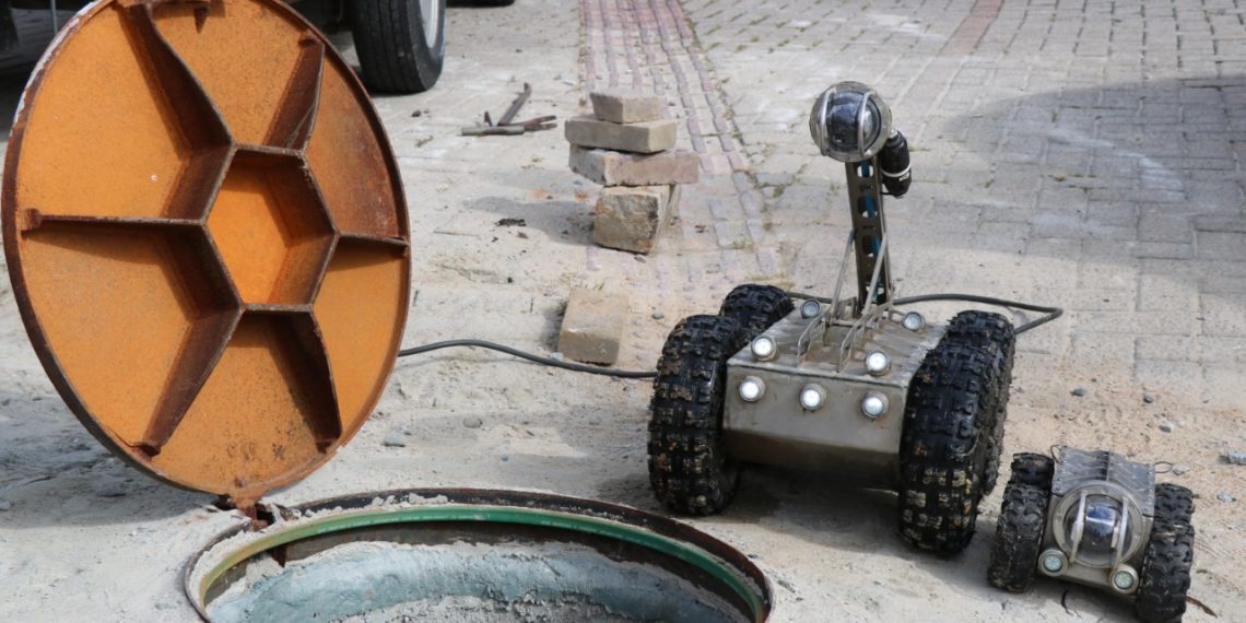 Foto: Renata Furlanetto