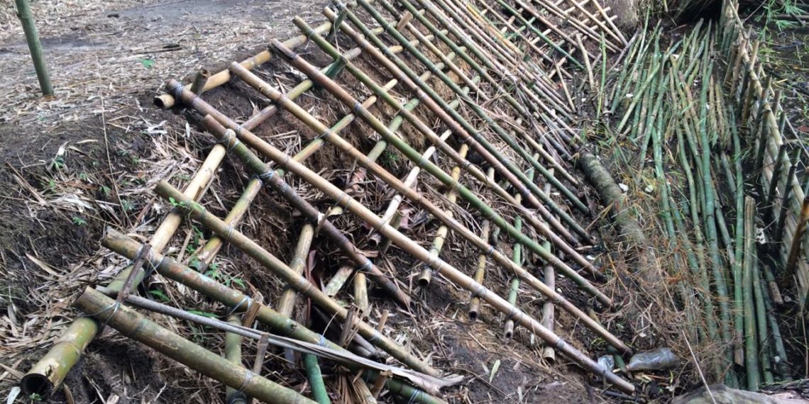 Foto: Silvana de Castro/ PMBC e Laboratório de Conservação e Gestão Costeira/Divulgação