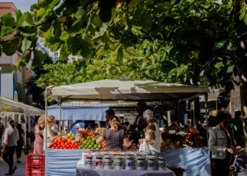 Fotos: Ana Claudia Sguário, Celso Peixoto e Arquivo PMBC
