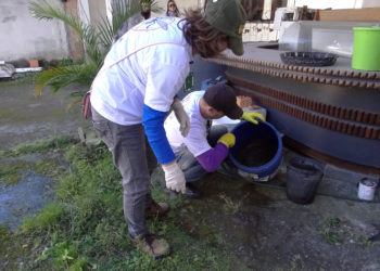 Foto: Soraya Bogarim / Arquivo PMBC