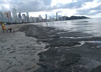 Divulgação Univali