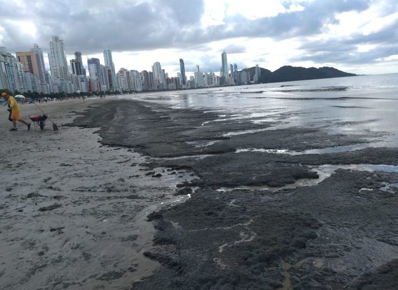 Divulgação Univali