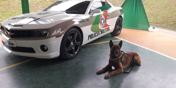 12º Batalhão de Balneário Camboriú