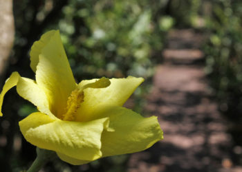 Foto: Arquivo PMBC