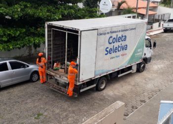 Foto: Divulgação Ambiental