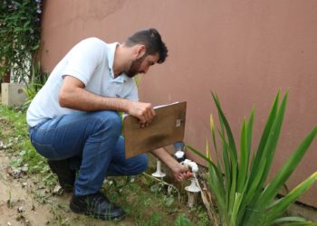 Foto: Bruna Bertoldo