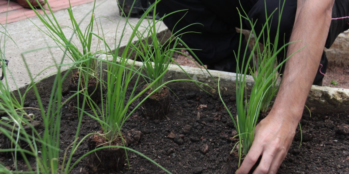 Foto: Gabriella Belle