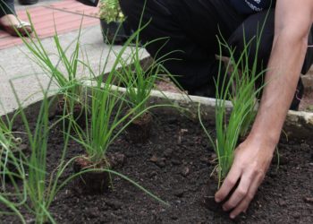 Foto: Gabriella Belle