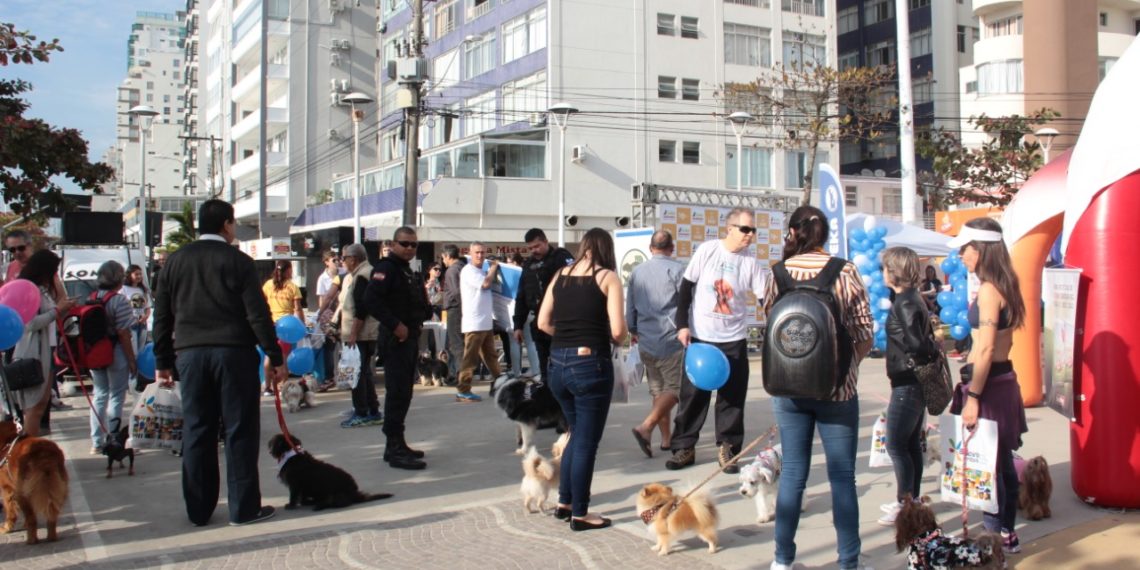 Foto: Nathalia Eccel