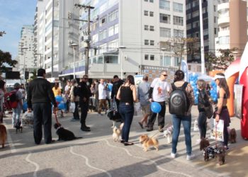 Foto: Nathalia Eccel