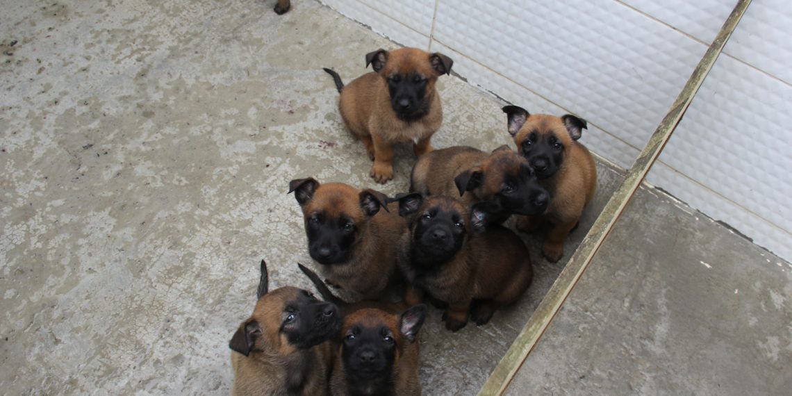 Fotos: Gabriella Belle