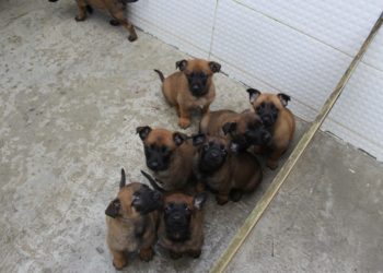 Fotos: Gabriella Belle