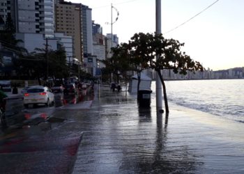 Foto: BC Notícias