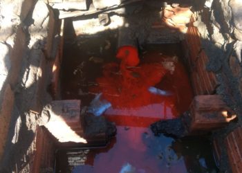 Fotos: Divulgação EMASA