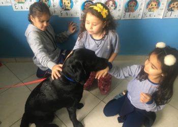 Fotos: Divulgação