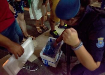 Foto: Arquivo PMBC