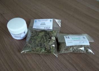 Foto: Arquivo PMBC