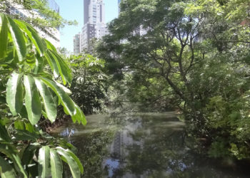 Foto: Arquivo EMASA