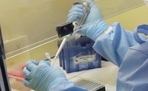 Testes RT-PCR são muito sensíveis e foram realizadas em amostras colhidas do esgoto de Florianópolis em 27 de novembro de 2019. Foto: LVA/UFSC