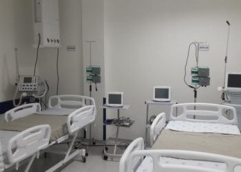 Fotos: Divulgação