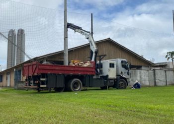 Fotos: Divulgação
