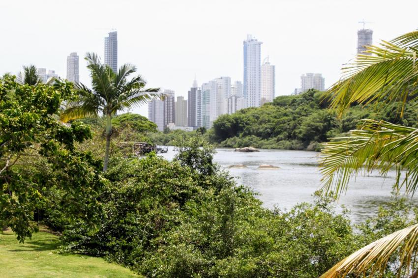 Foto: André Luiz Mazocco