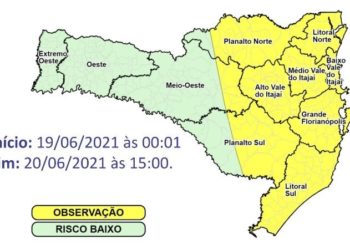 Divulgação