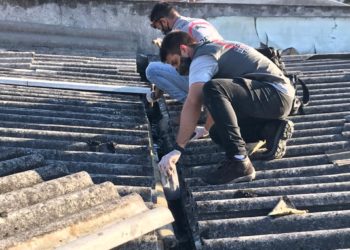 Fotos: Divulgação