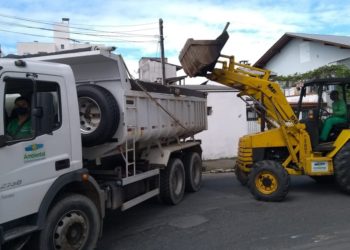 Foto: Divulgação/Ambiental