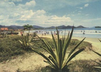 Foto: Anna Corrêa Fuchs Via Grupo no Facebook: Fotos Antigas e História da Praia de Camboriú