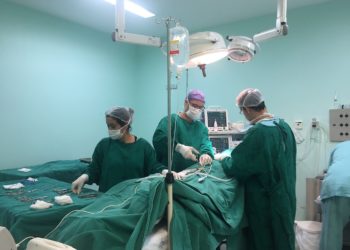 Fotos: Divulgação/ Arquivo PMBC