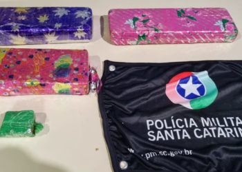 Divulgação