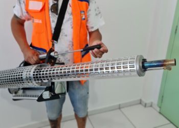 Divulgação