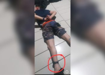 Divulgação