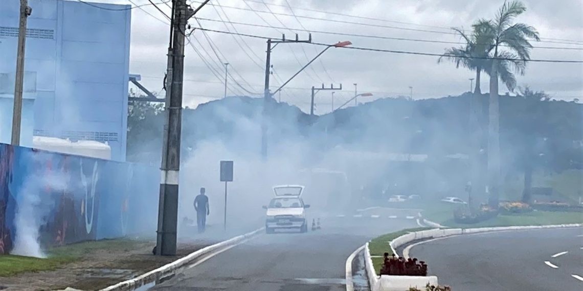 Divulgação