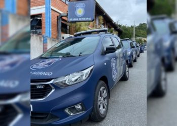 Divulgação