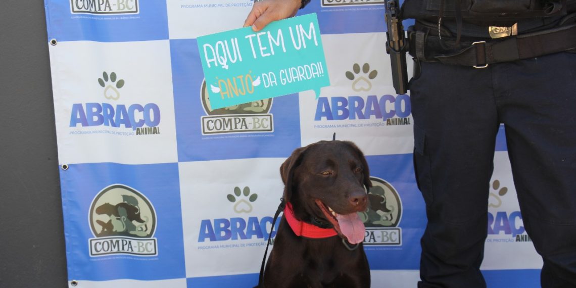 Foto: Divulgação e Arquivo PMBC