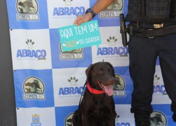 Foto: Divulgação e Arquivo PMBC