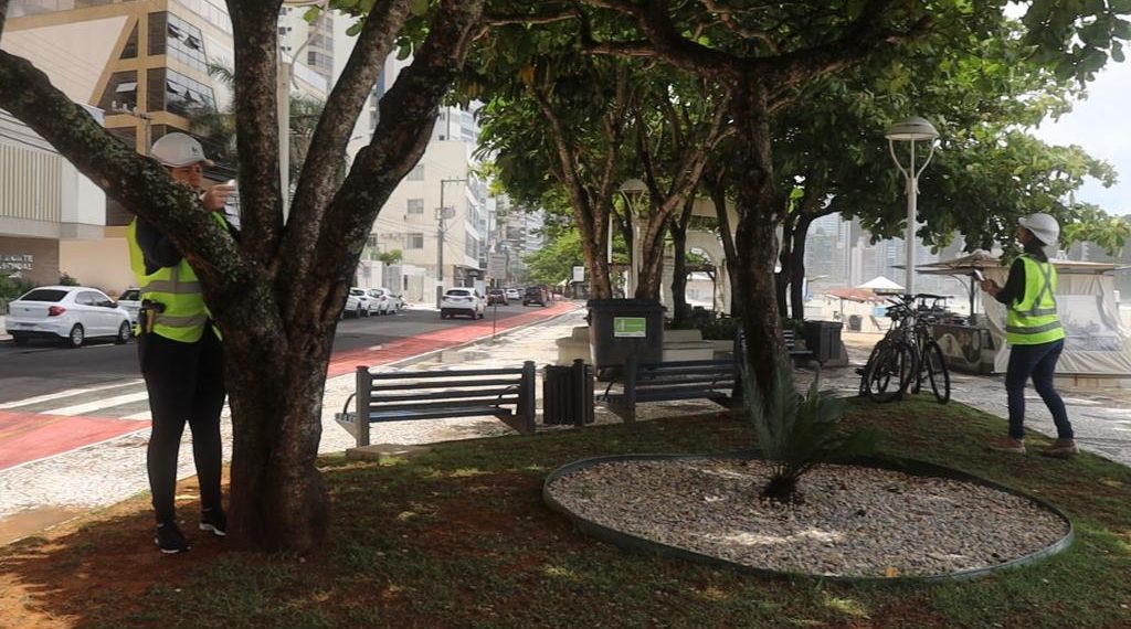 Fotos: Rafael de Novaes Mendes