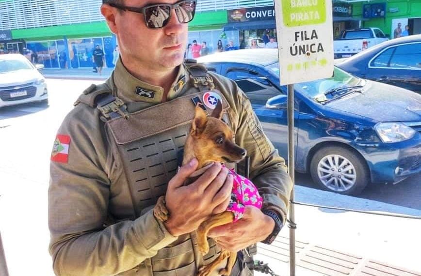 Divulgação