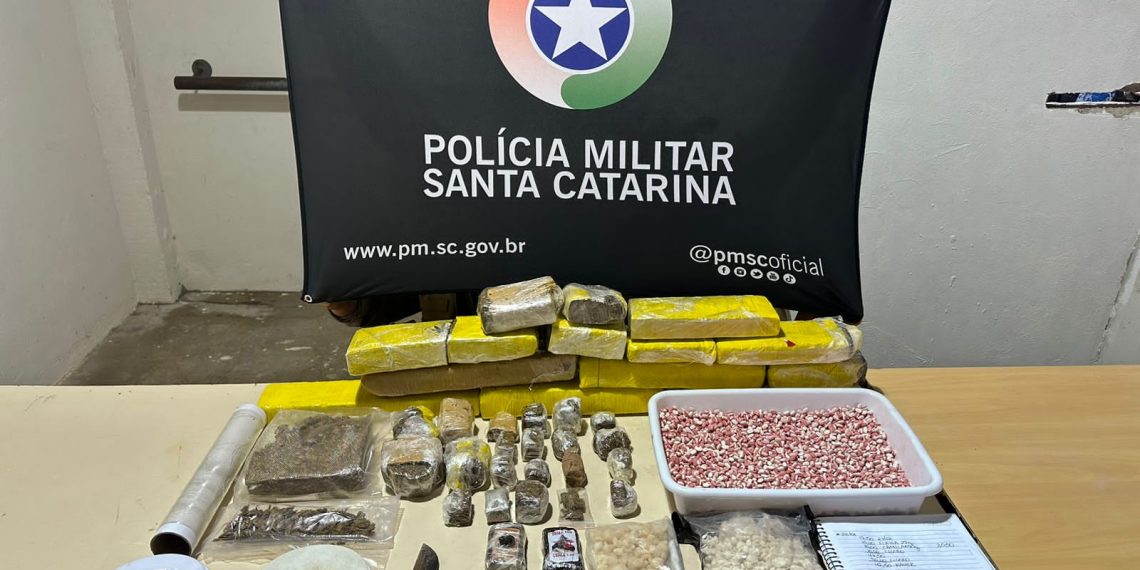 Divulgação