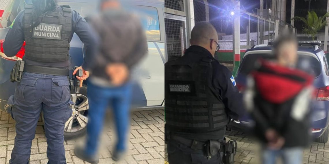 Divulgação