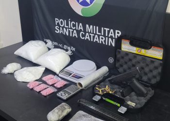 Divulgação